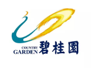 延平碧桂园地产